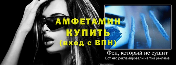 сатива Вяземский