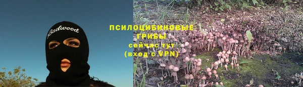 бутират Горняк